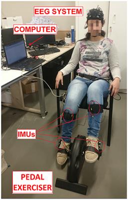 Personalized Offline and Pseudo-Online BCI Models to Detect Pedaling Intent